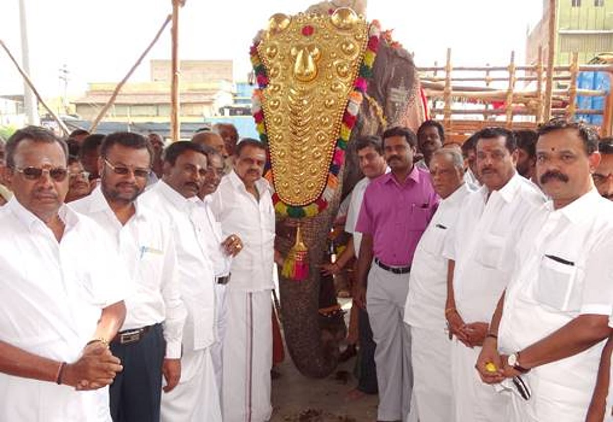 முகாம் நிறைவு செய்து திரும்பிய கோயில்யானை கஸ்தூரிக்கு சிறப்பு வரவேற்பு